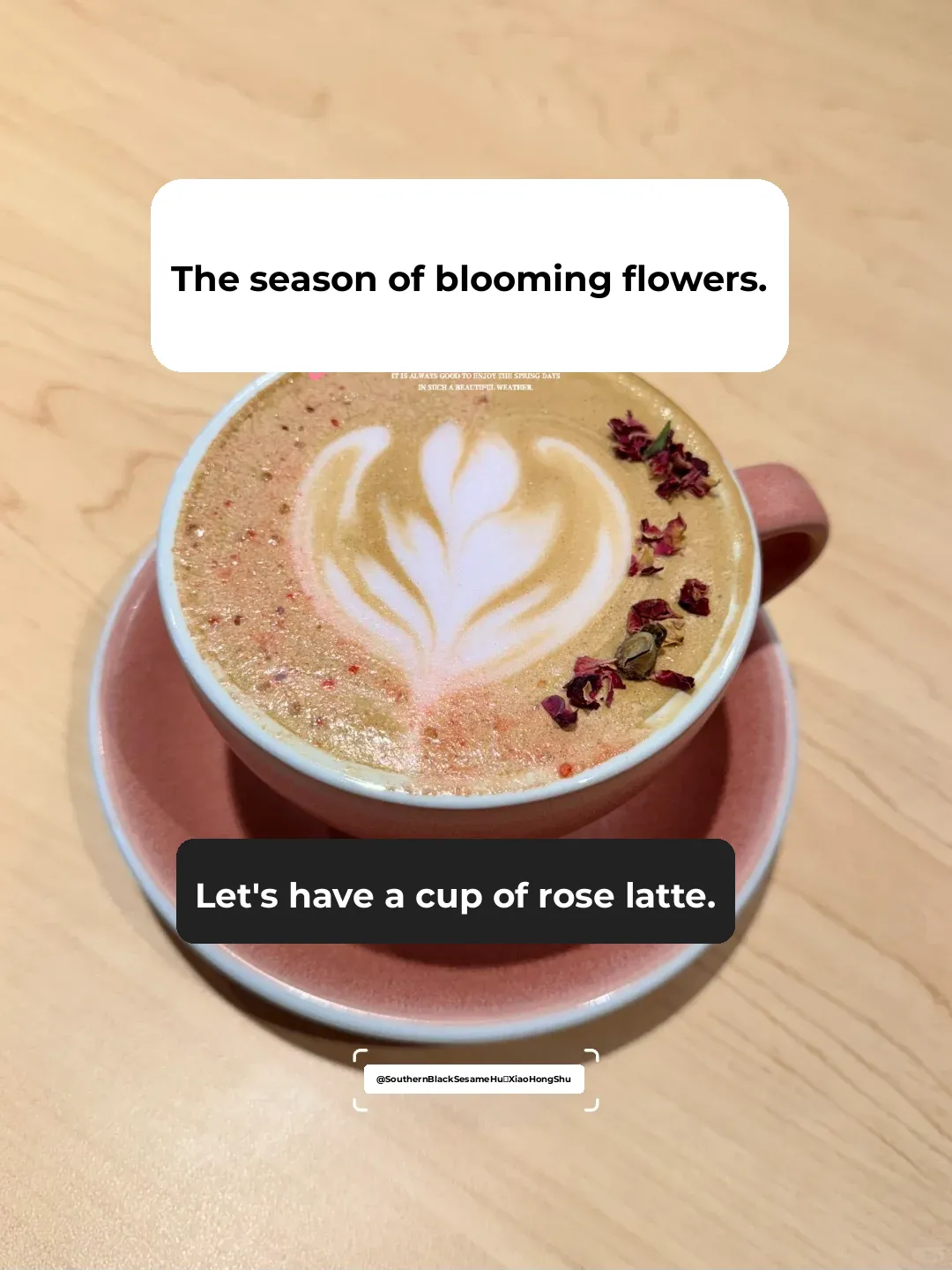 Atlanta Foodie Adventure | Belux's Spring Collection