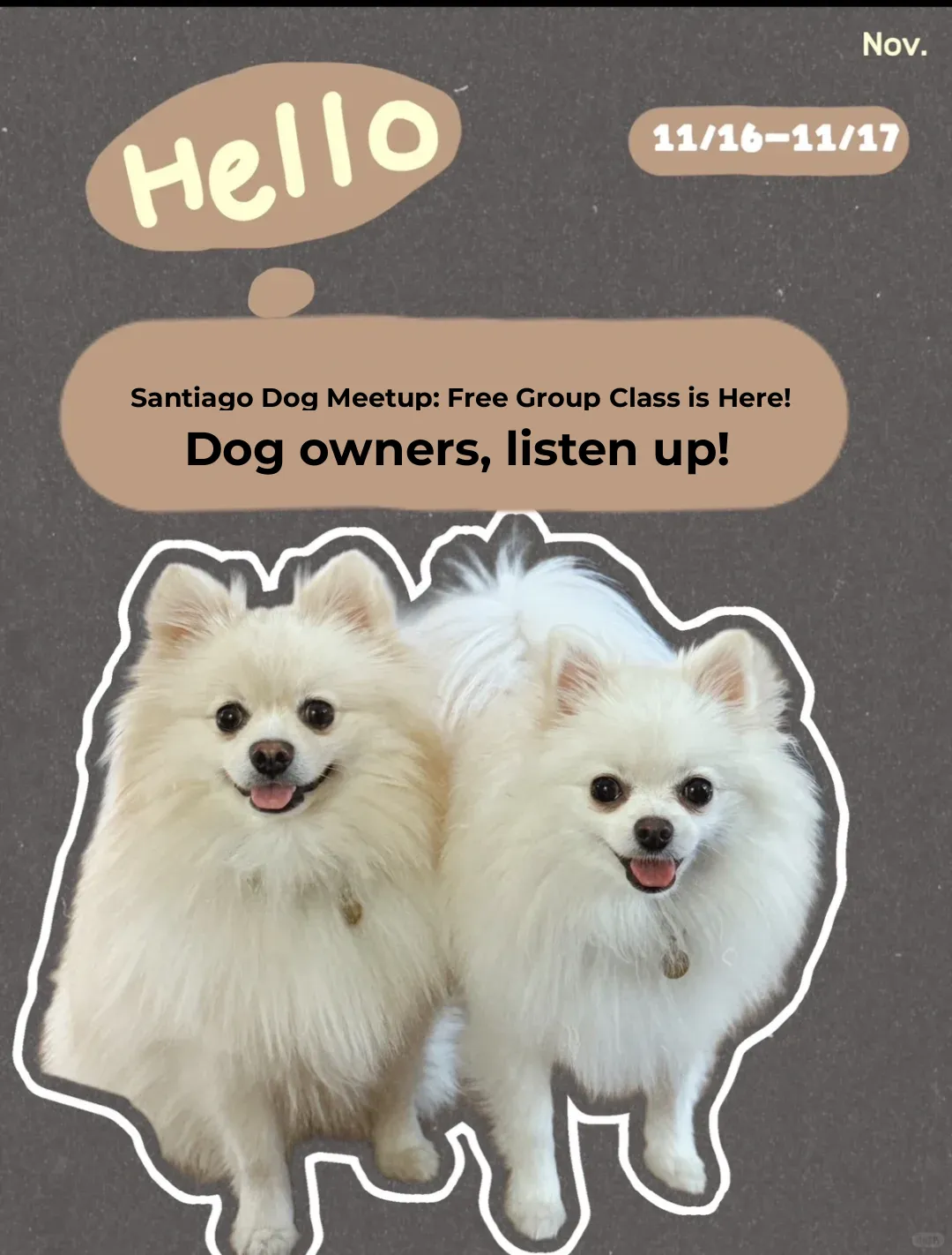 San Diego Doggy Meetup � Free Group Class Coming Soon!