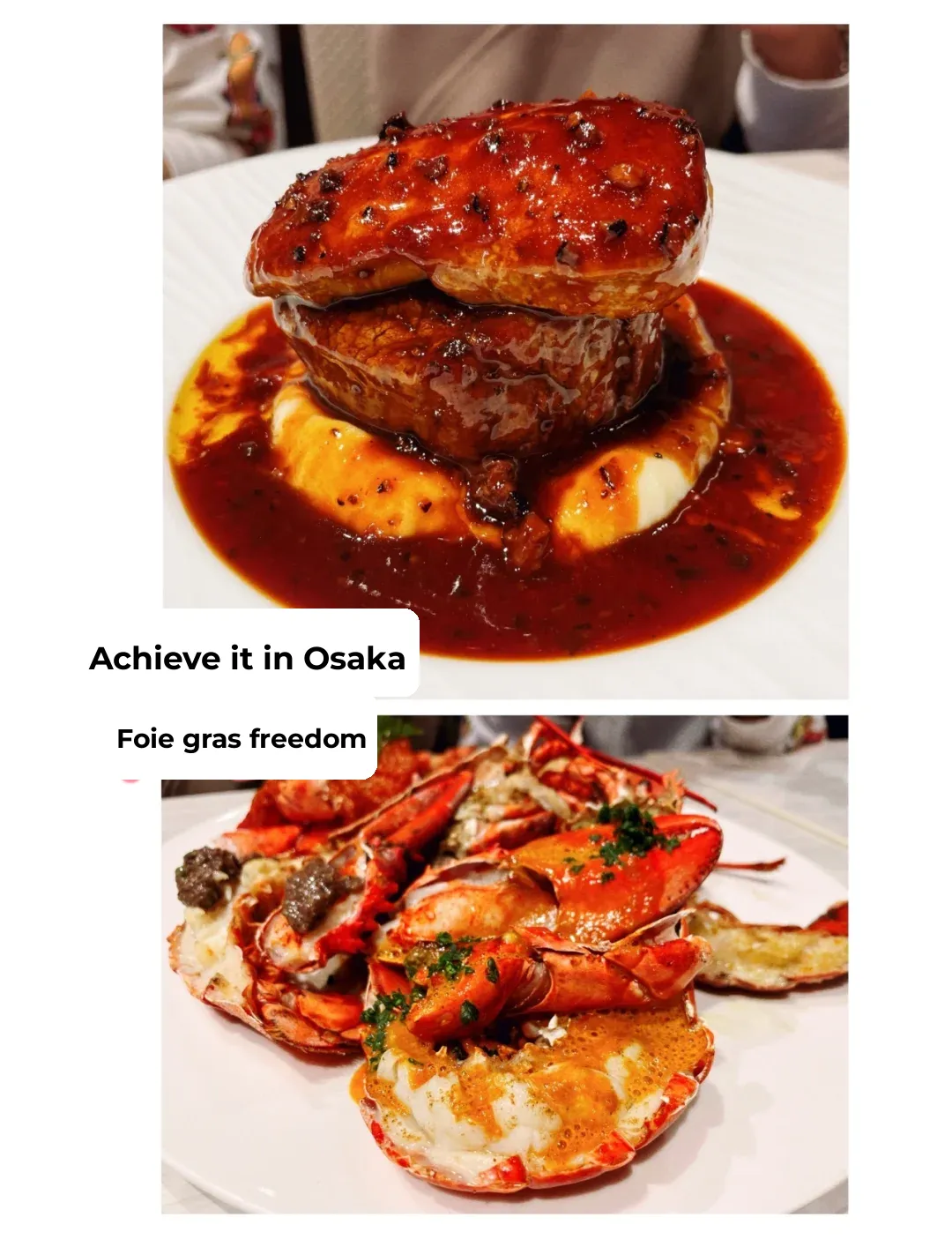 Highly Recommended ⚡️ Osaka Food Hunt | Affordable Hidden Gem French Cuisine | Unlimited Foie Gras