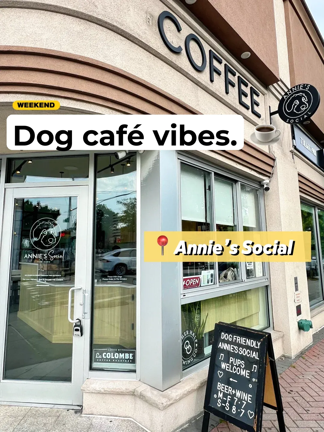 New York | A Dog Café ☕️ Where You Can Pet Pups to Your Heart’s Content 🐩🐕