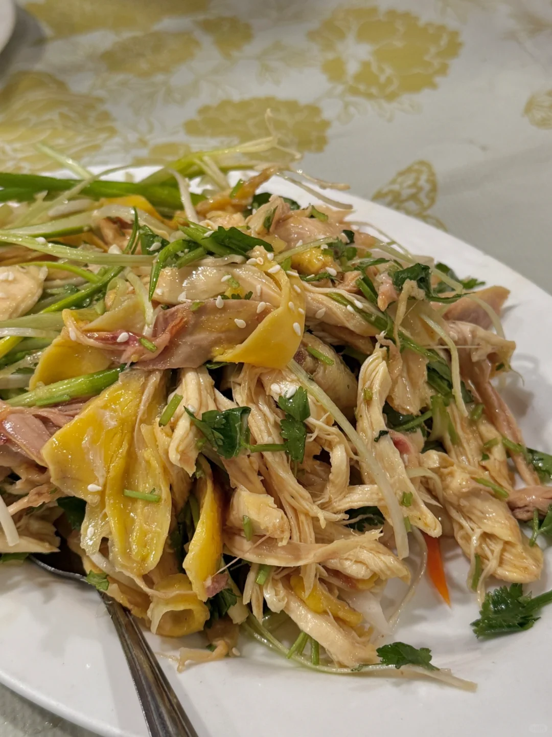 Boston｜Breaking News: Found Authentic Cantonese-Style Hand-Shredded Chicken Here!