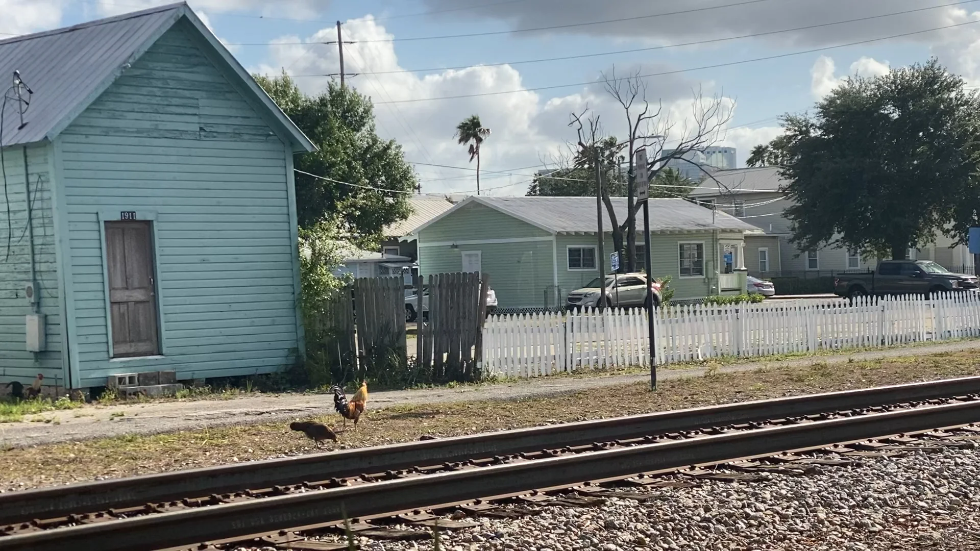 Enjoying a Cup of Coffee on the Street with the Most Chickens