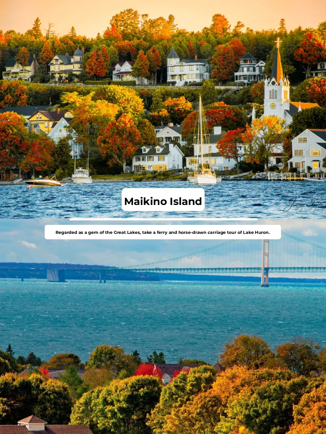 New Ways to Experience Fall Foliage in the U.S. from September to October 🍁 | Starting from Chicago