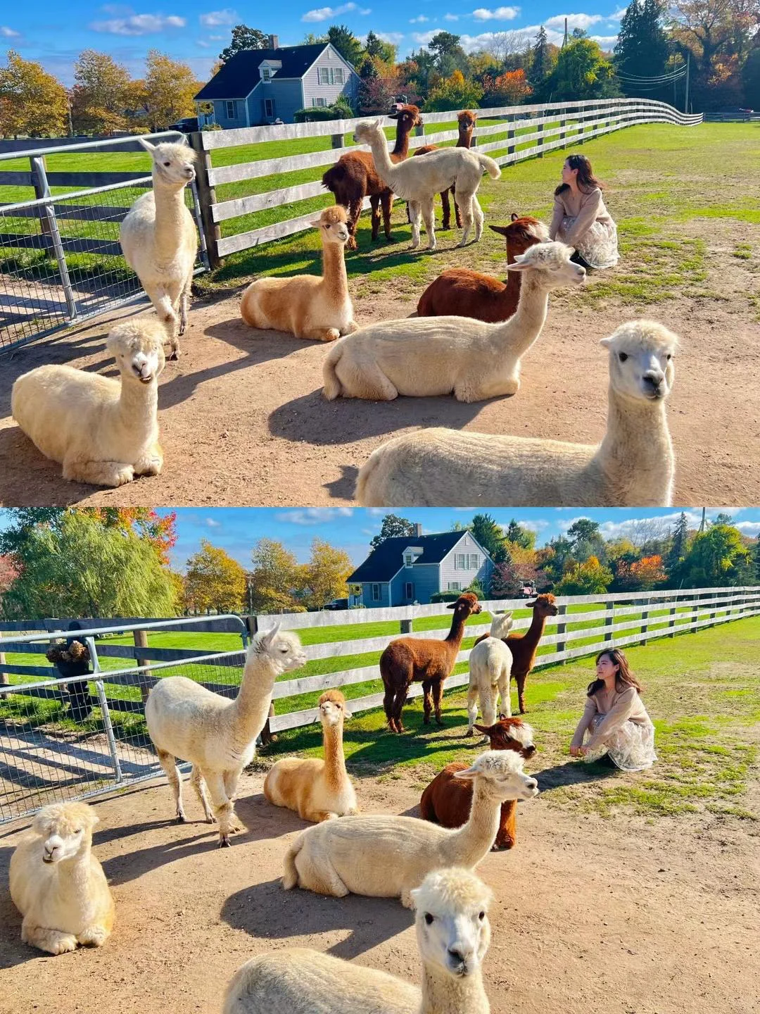 Top Weekend Getaways Near NYC | 🦙🌊🌲🚂