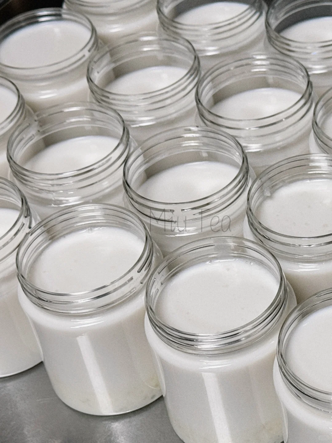 Columbus Coconut Jelly