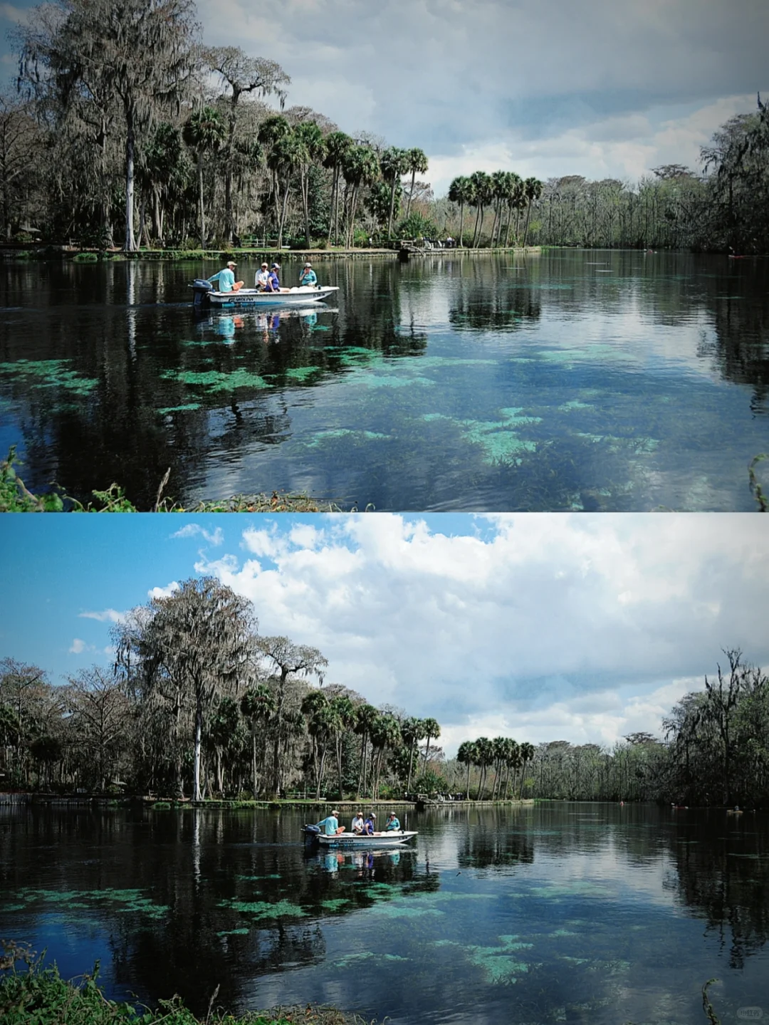 DSLR Perspective: The Enchantment of the Underground Spring River