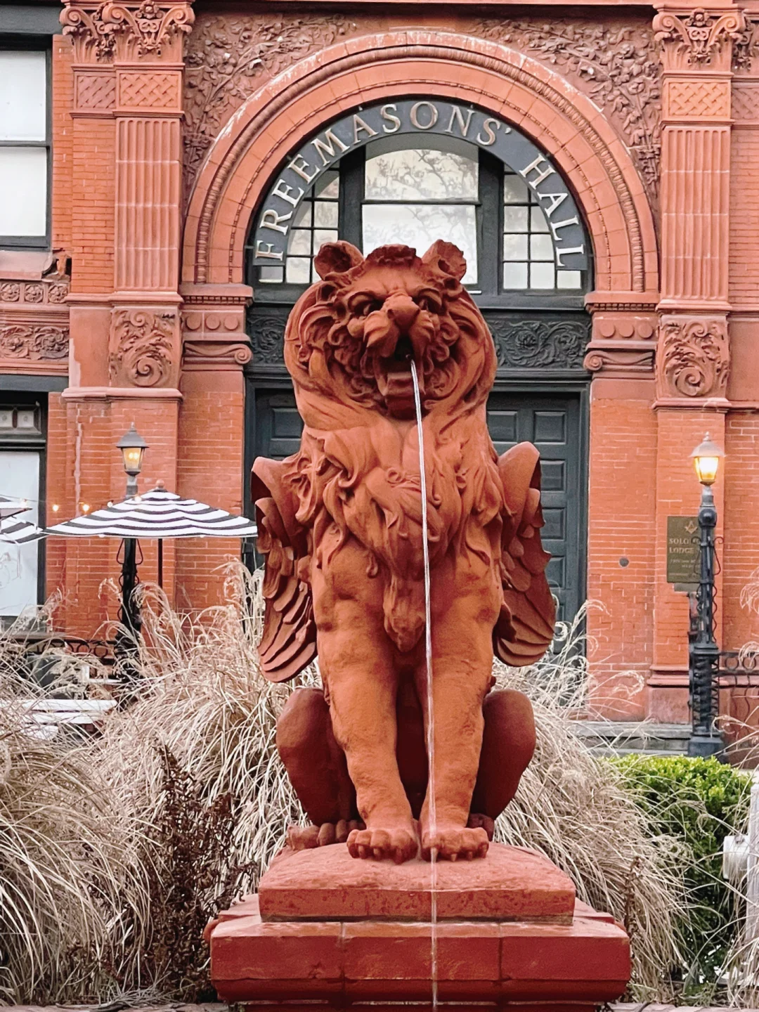 Why Do Lions Spit Water? Haha