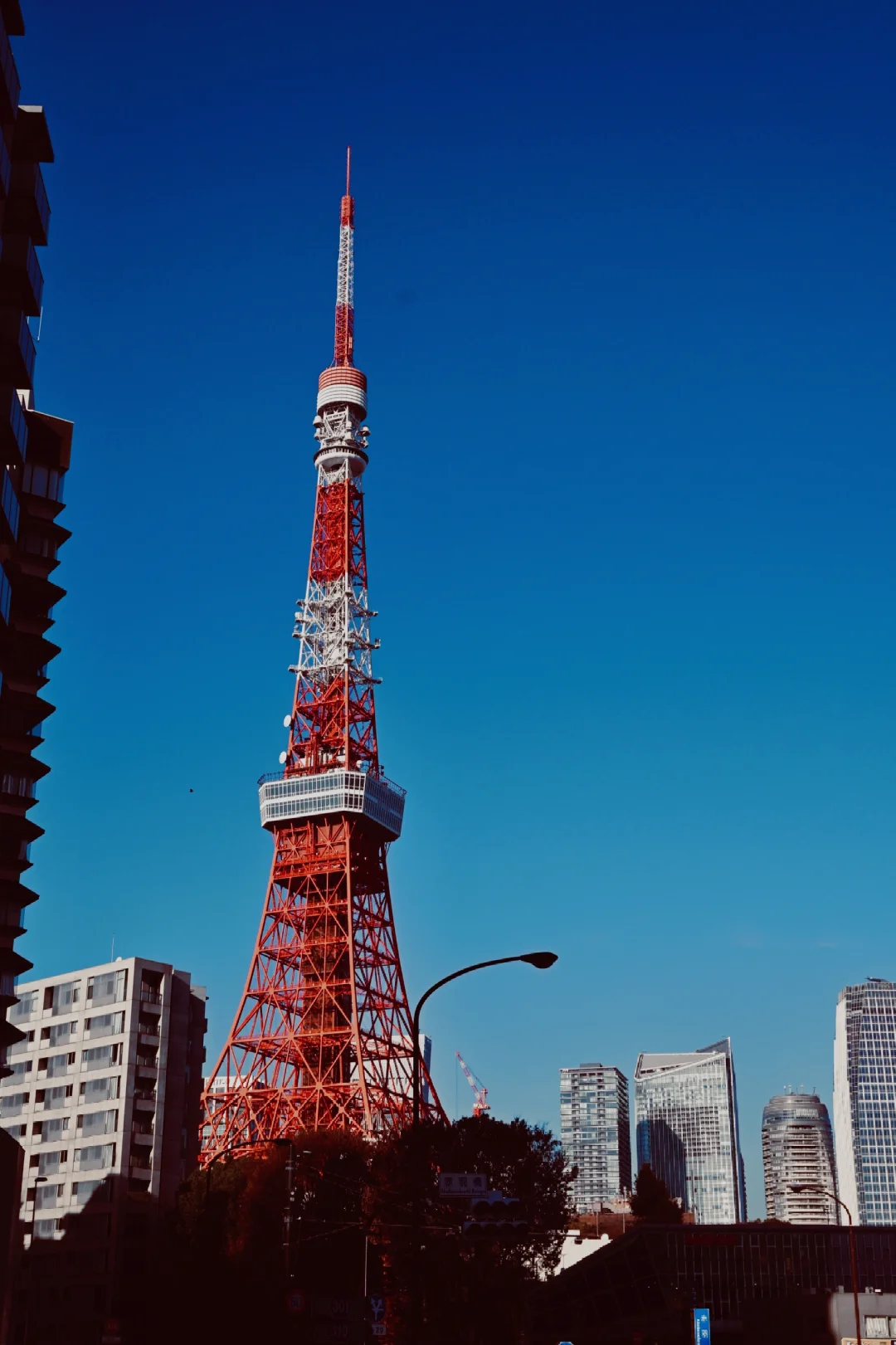 Solo Trip to Japan 🇯🇵 Tokyo Edition