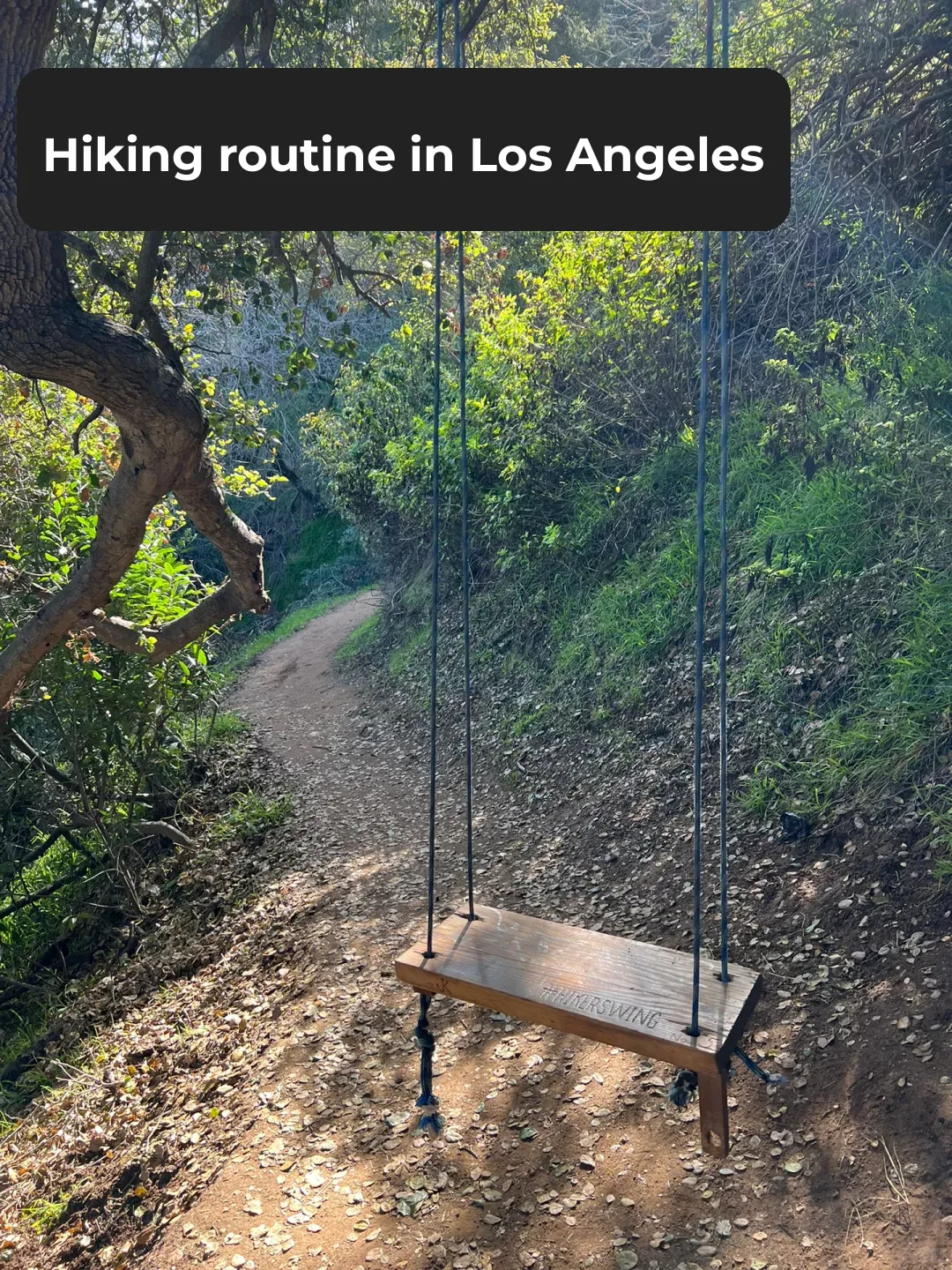 Hiking in LA #71: Swing into the Mountains, Babe! 💕