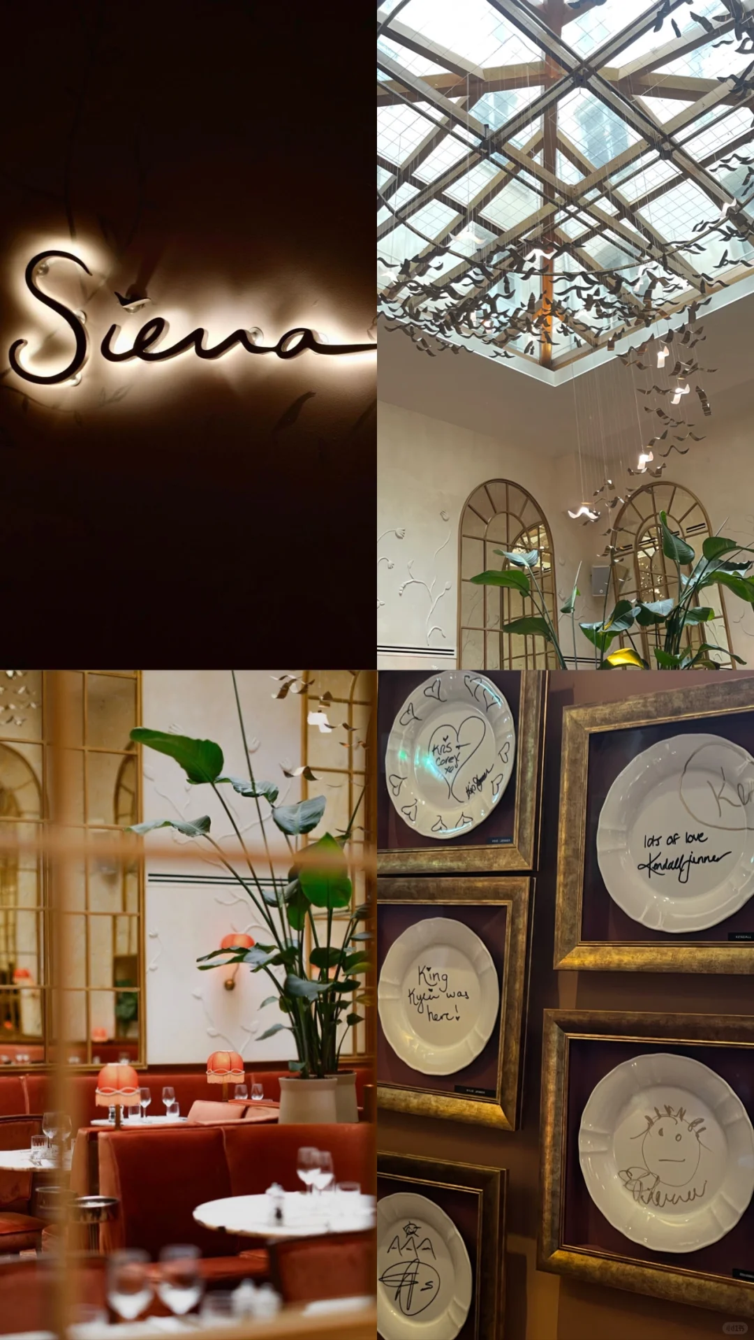 Paris Foodie Adventure 📍 Siena Italian Eatery