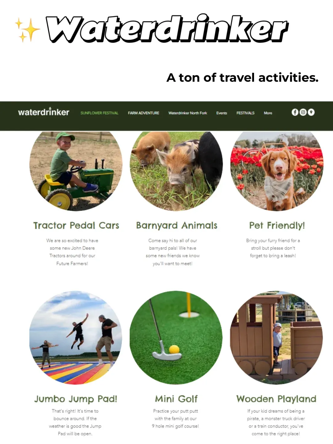 Sunflower Fields Are Here! Top 5 🌻 Farms Near NYC