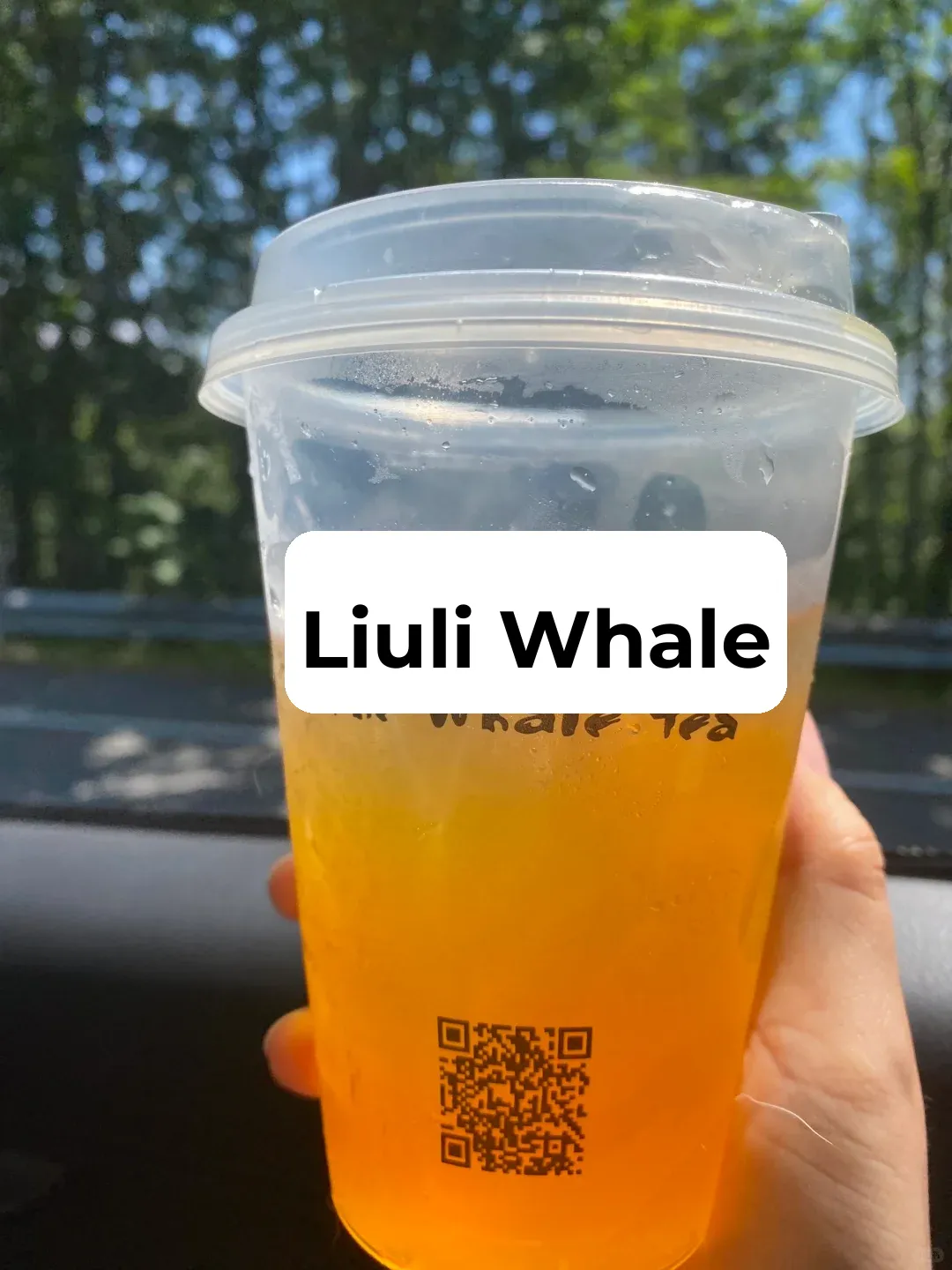 Seattle Bellevue | Glass Whale No-Regrets Edition