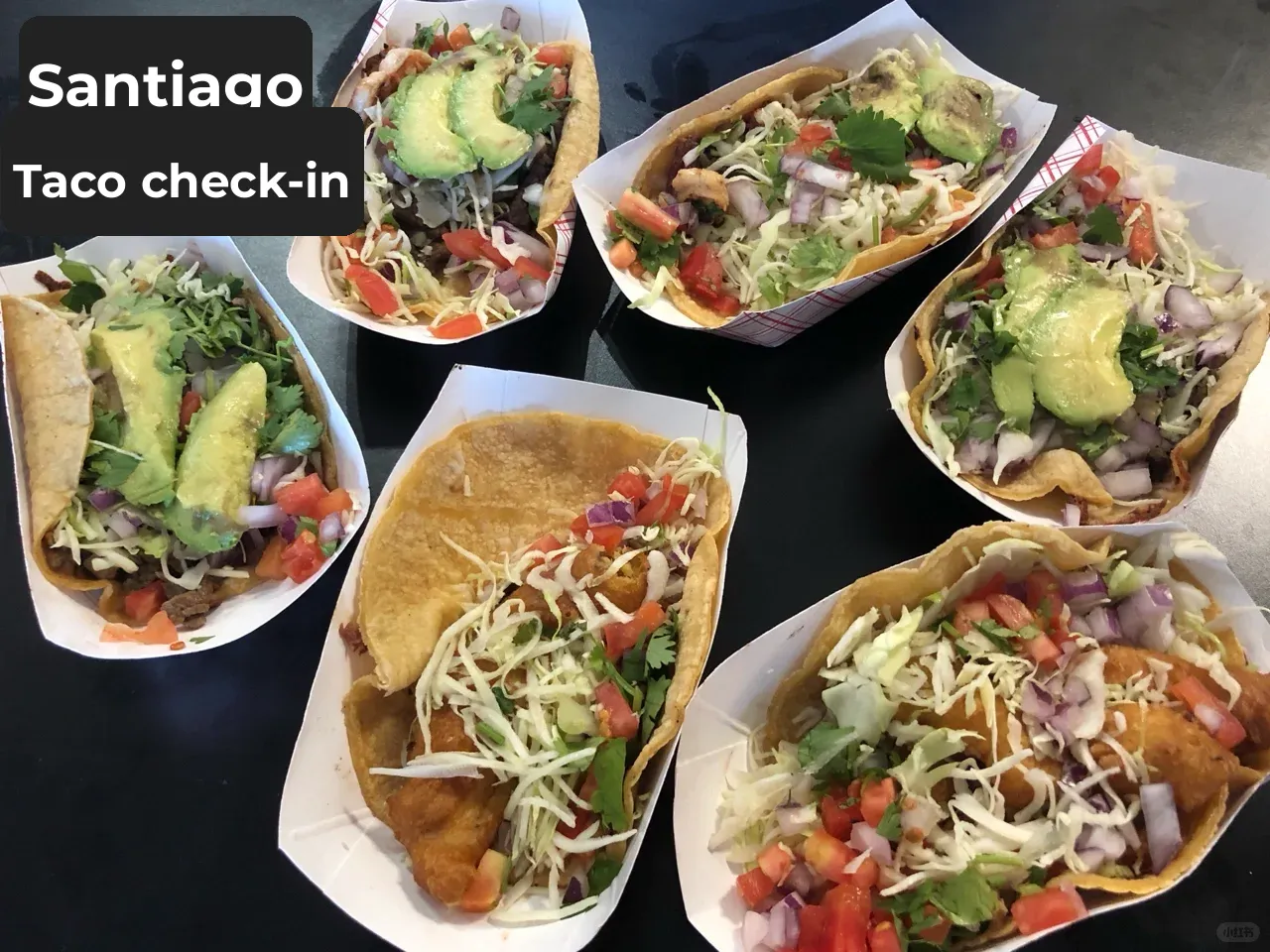 San Diego SD Food Adventure: Exploring the Trendy Seaside Mexican Taco Spot 🌮️