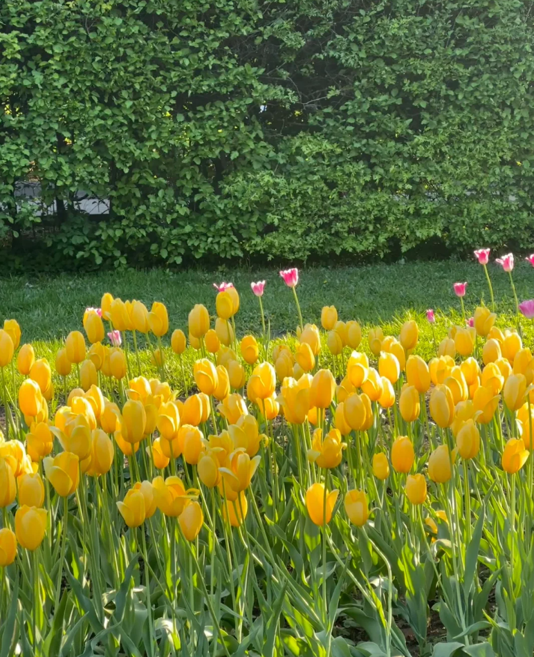 A Day of Relaxation at Gorky Park