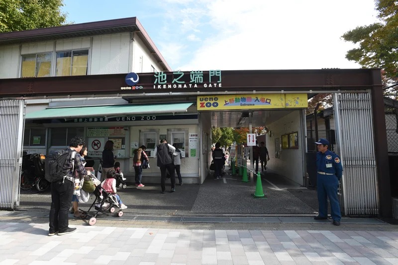post_image