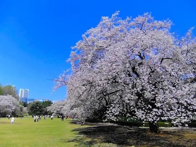 post_image
