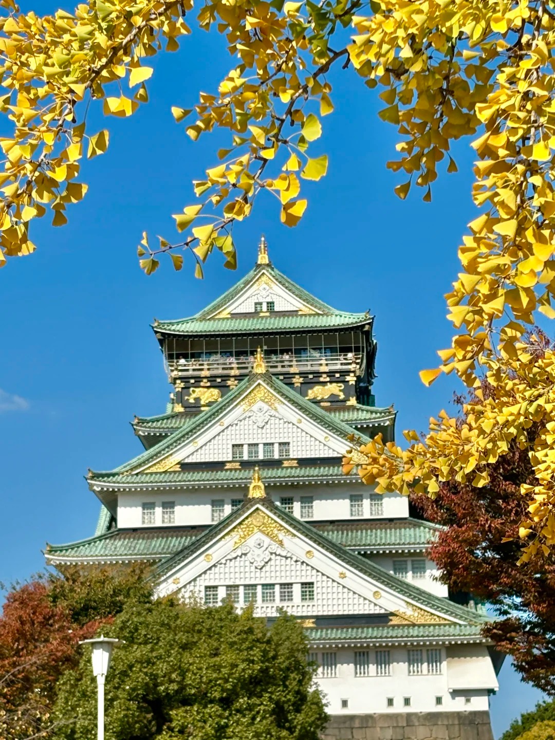 First Time in Osaka? Copy This Route Directly! 🌟🍣 by Nala | WanderBoat ...