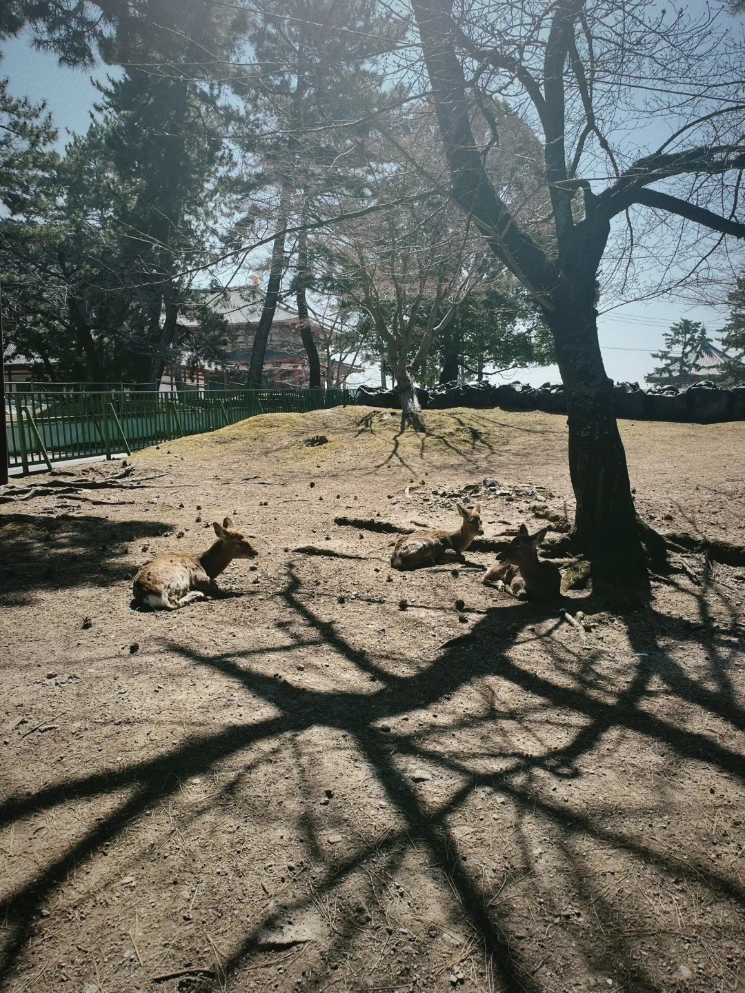 post_image