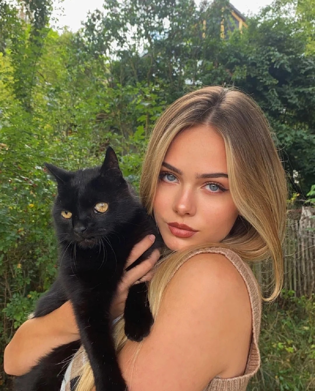 Stella