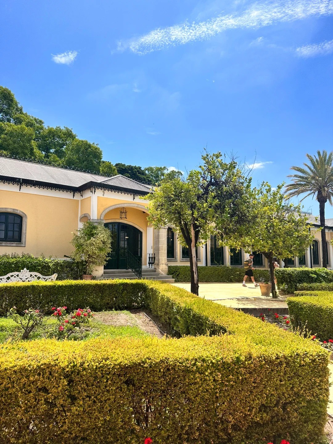 🇪🇸 Found My Favorite Spanish Town: Jerez de la Frontera!