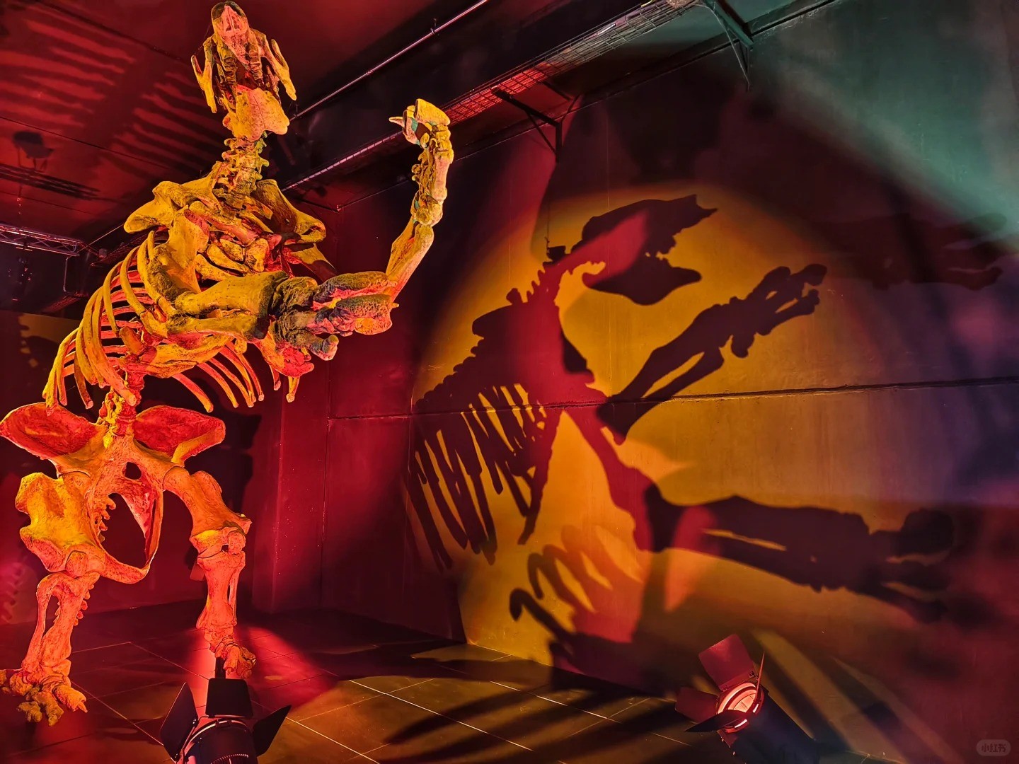 Dinópolis Dinosaur Park: The Ultimate Family Day Out! 🦖🎢