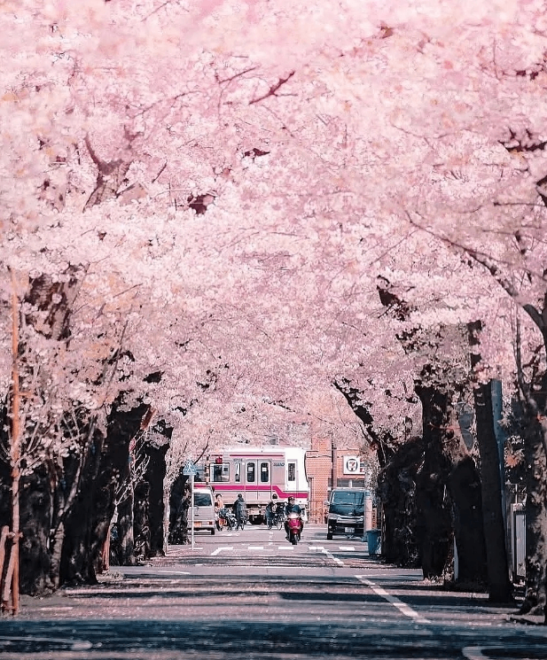 post_image