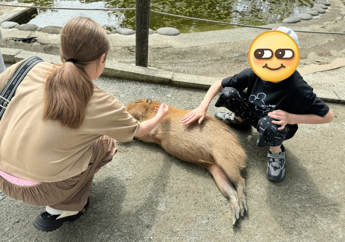 post_image