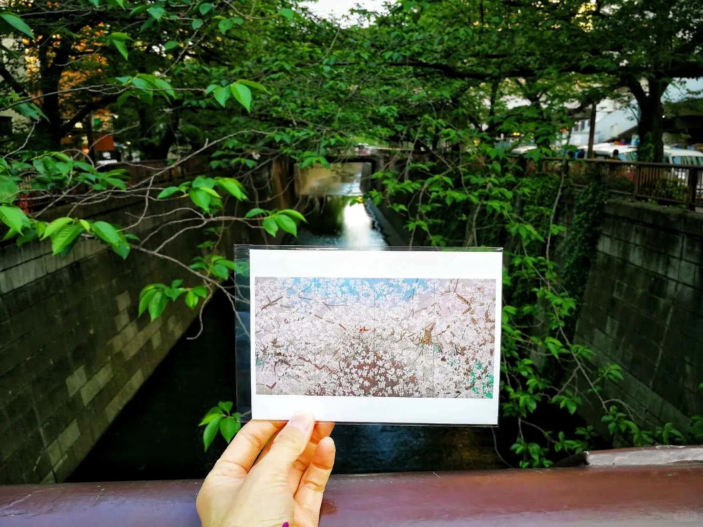 post_image
