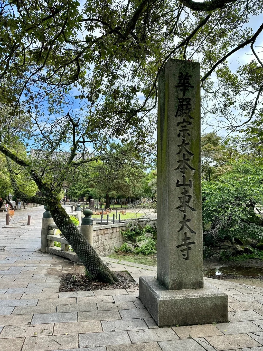 post_image