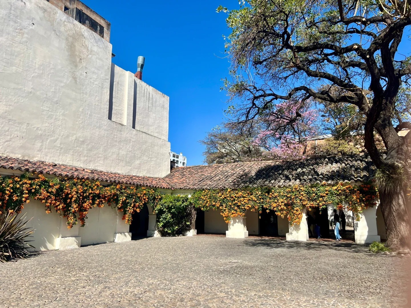 🇦🇷 SALTA | Where Inca Legacy Meets Colonial Splendor 🦙⛪️