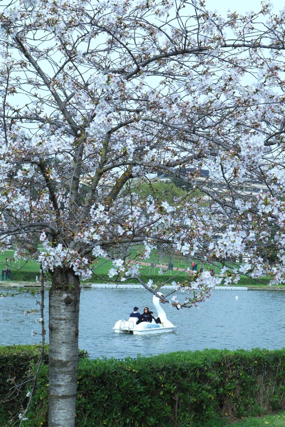 post_image
