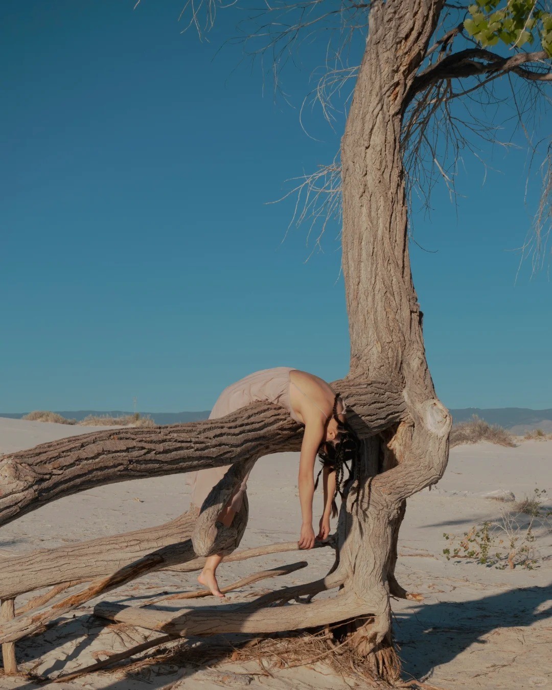 A Niche New Mexico Guide for Art Student Sisters 🎨