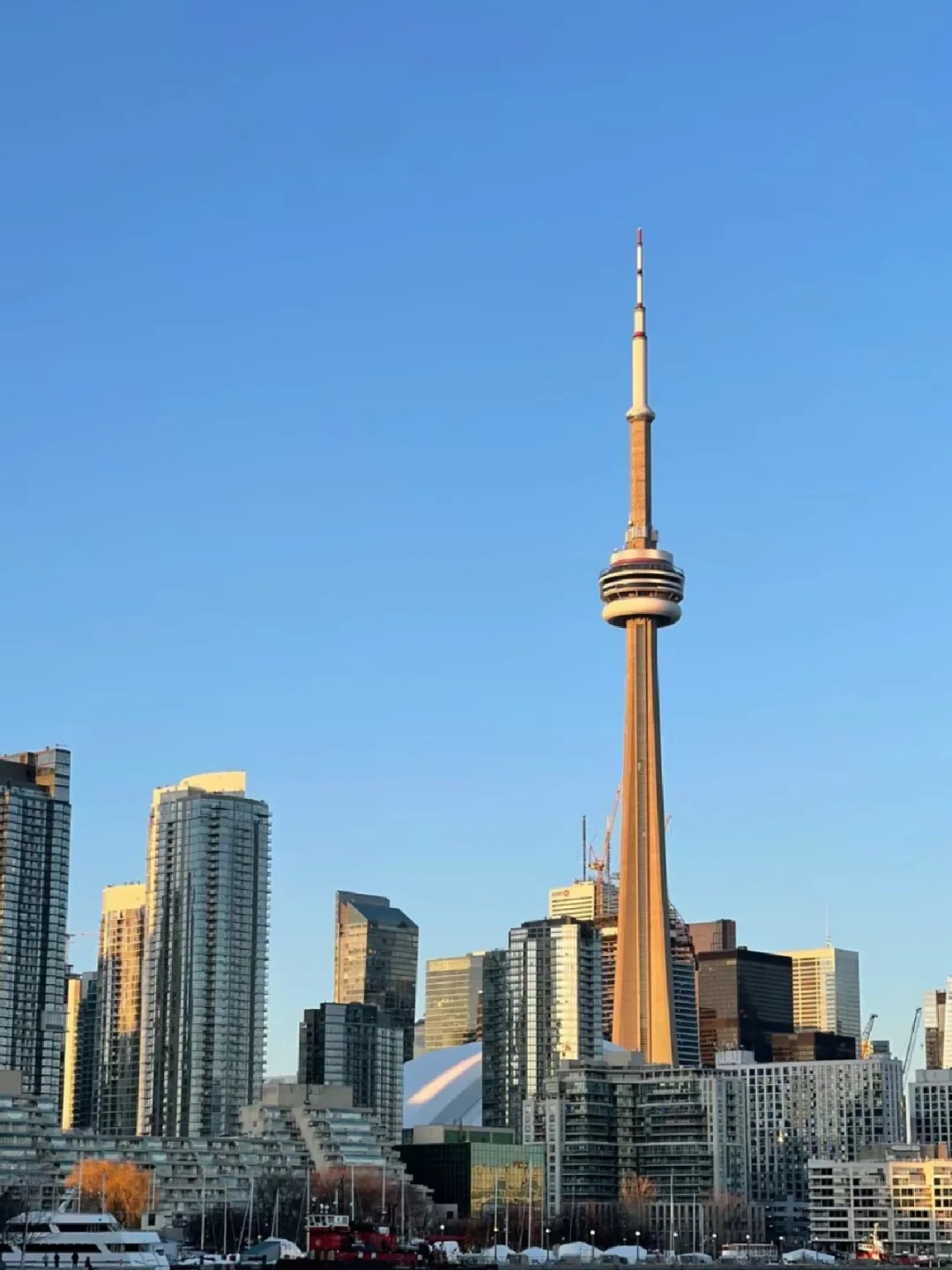 Discover Toronto's Must-See Spots! 🌟
