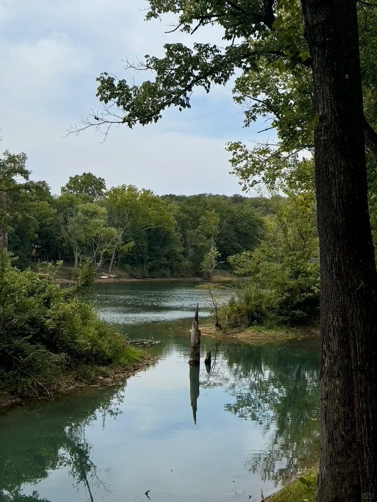 🌟【Time Travel】Eureka Springs Retro Car Festival 🚗