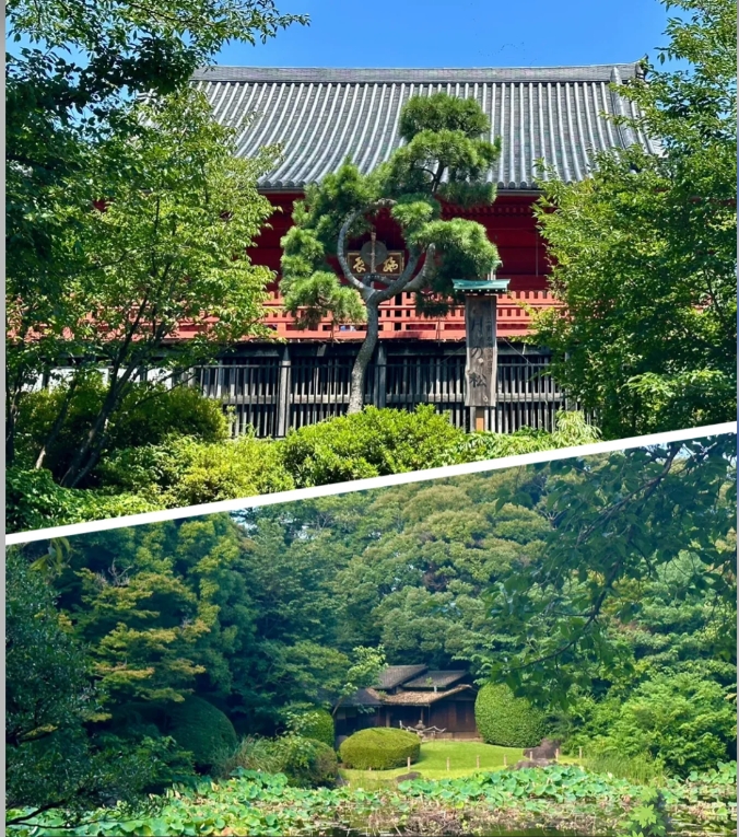 post_image